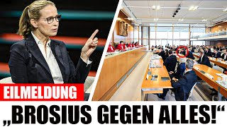VERFASSUNGSGERICHT IN GEFAHR: Brosius GEGEN DAS GESETZ – auf RACHE statt REUE!