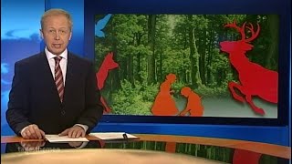 Deutsche Angst vor dem Waldsterben