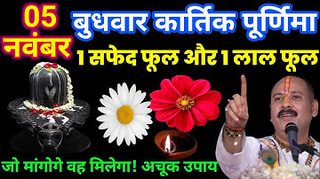 5 नवंबर कार्तिक बुधवार पूर्णिमा के दिन 1 लाल फूल 1 सफेद फूल वाला उपाय जरूर करे #pradeepmishra