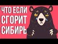 Что, если сгорит СИБИРЬ ( Тайга )