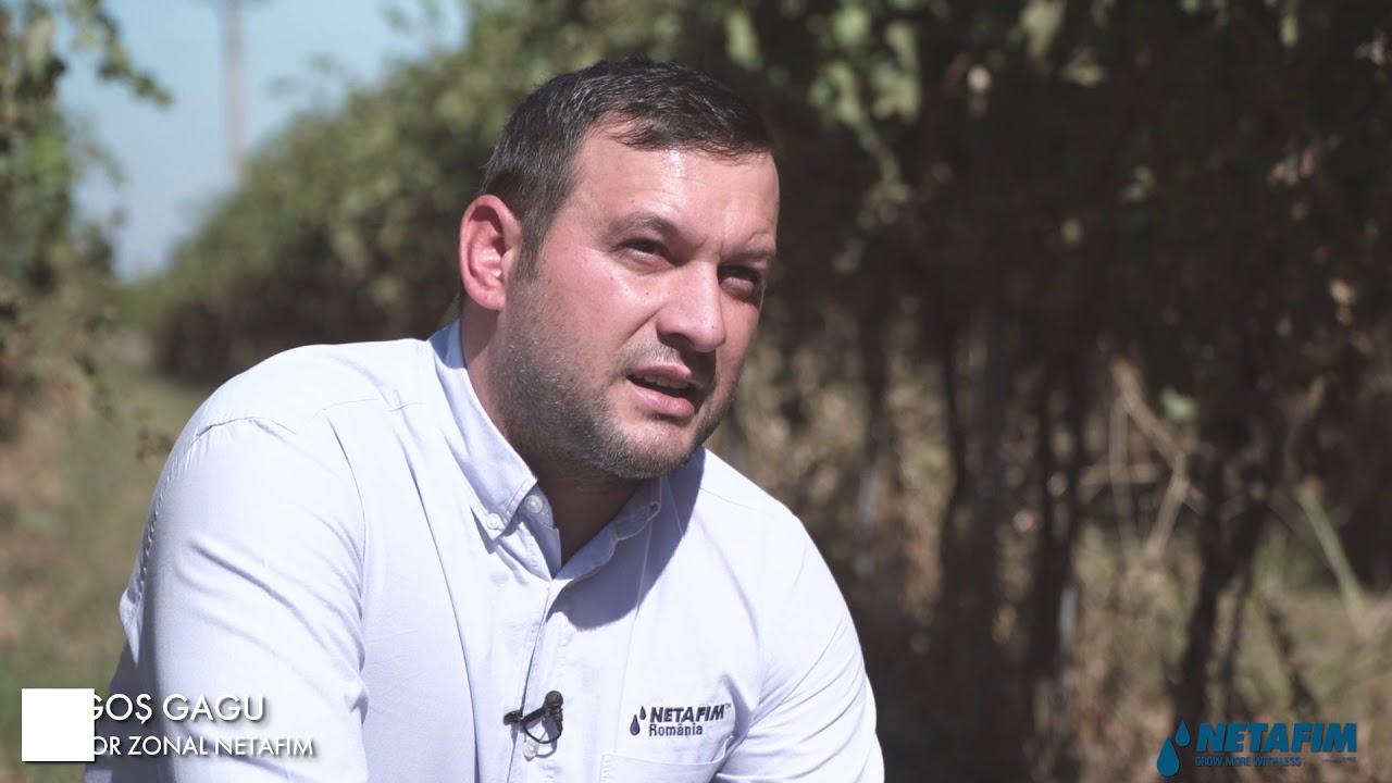 Testimonial client Netafim, Provitis Cernavodă, 180 ha sistem irigații subsolier viță de vie!
