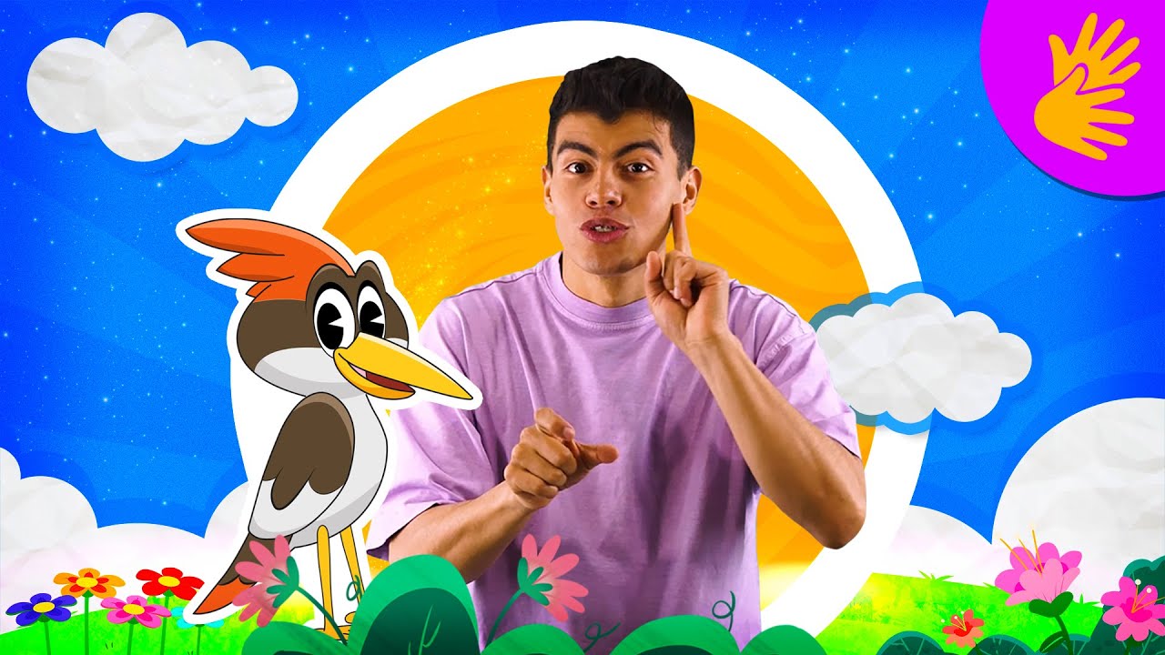El Pájaro Carpintero En Lengua De Señas Canciones Infantiles Toy 