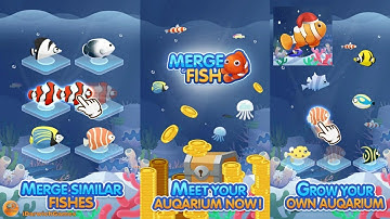 Merge Fish! - Gameplay (iOS & Android)