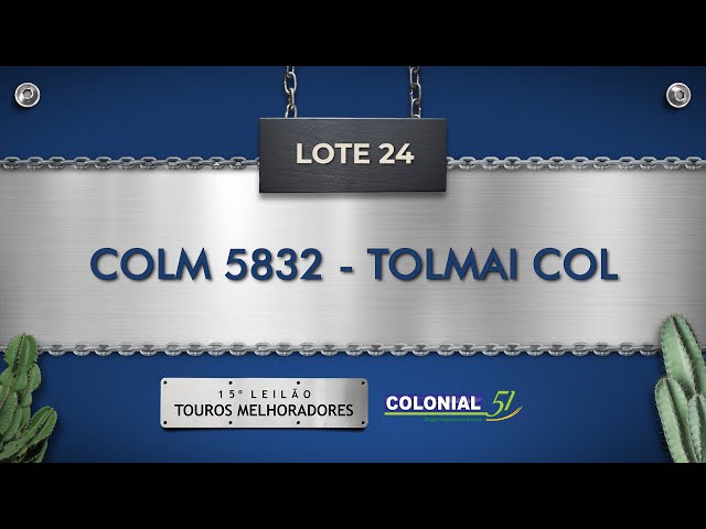 LOTE 24   COLM 5832