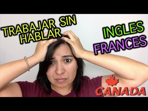 ¿Puedo Conseguir Un Trabajo En Quebec Sin Hablar Francés?