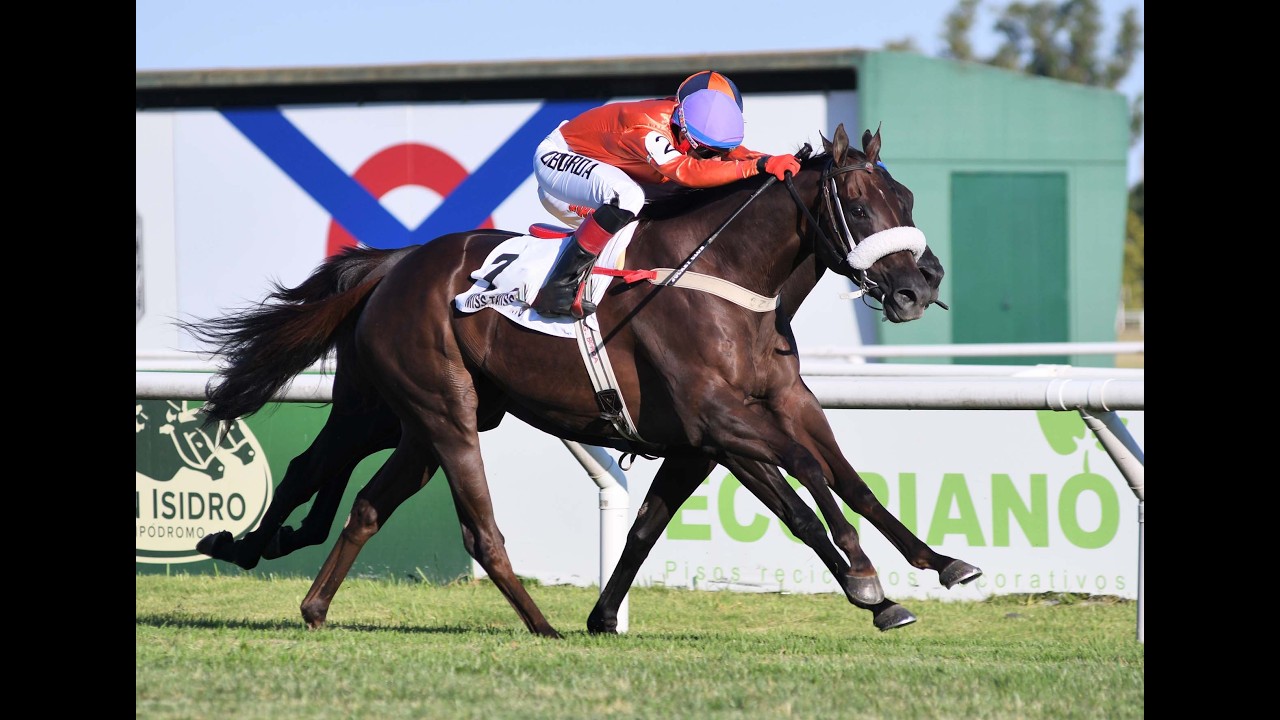 Clásico Juan Shaw (G2) 2026 - Miss Talento (Equal Talent)