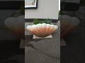 ホタテ貝のプランターが珍しい！
