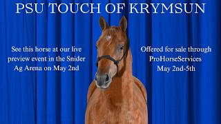 PSU Touch of Krymsun