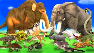 African Elephant Vs 4 Giant Tigers Lion Attack Camel, 7 Zebra Saved by Woolly Mammoth Vs Tiger Panda