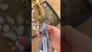 I Rescued Dazai   dazai bsd meme anime jokes osamudazai yummy dazaiosamu