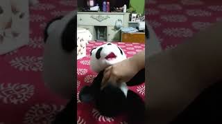my favorite toy talking panda screenshot 1