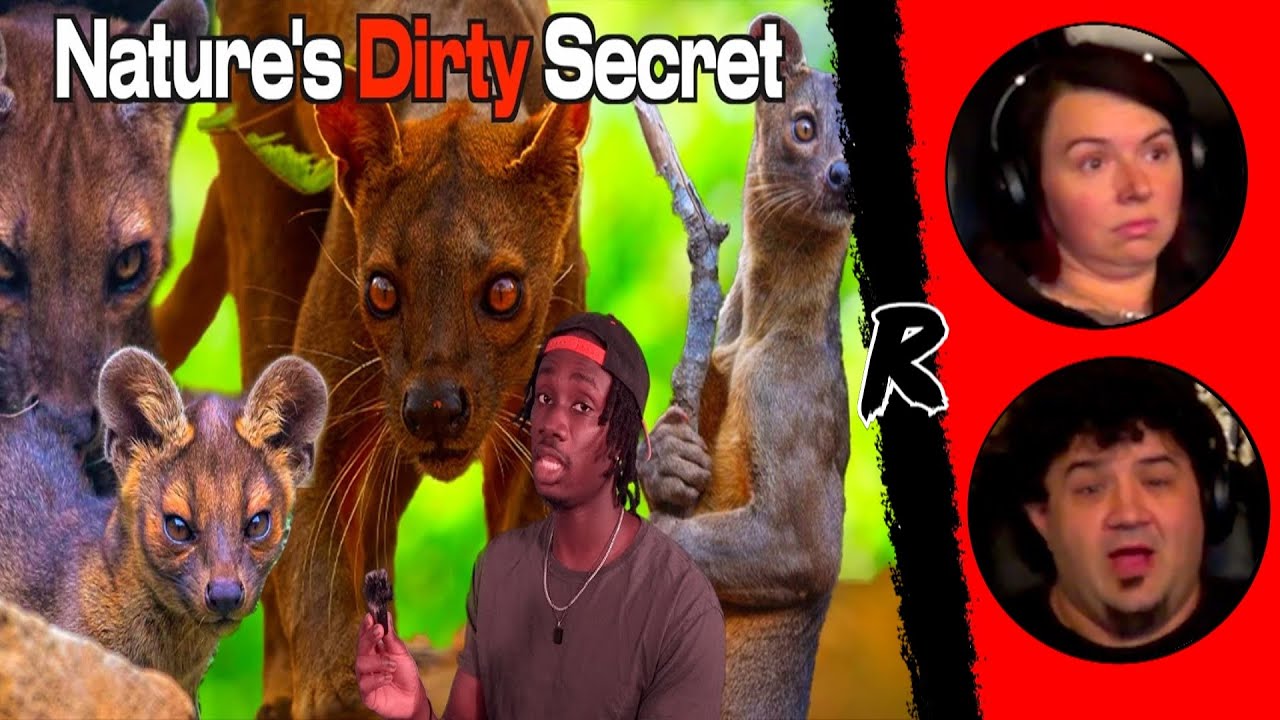 The Animal Not Safe for School - @Casual Geographic | RENEGADES REACT