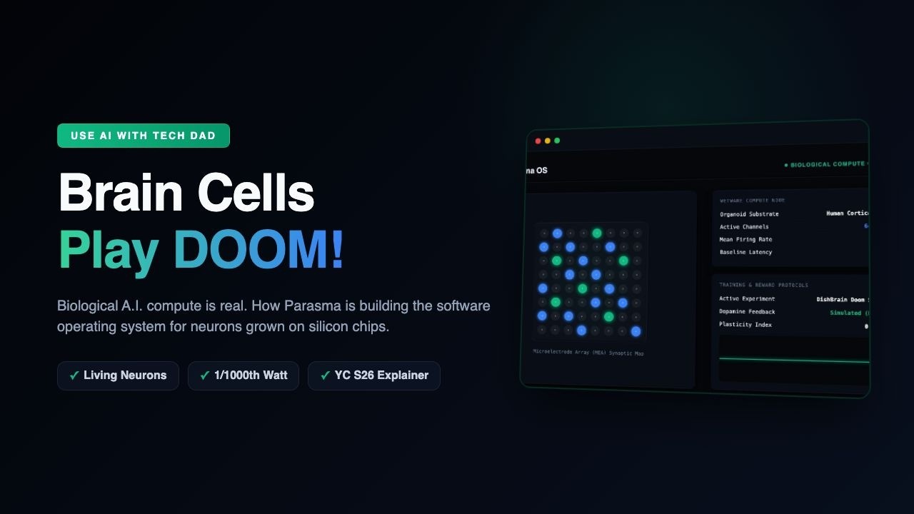 Beyond Silicon: Programming Living Neurons for AI Compute (YC S26)