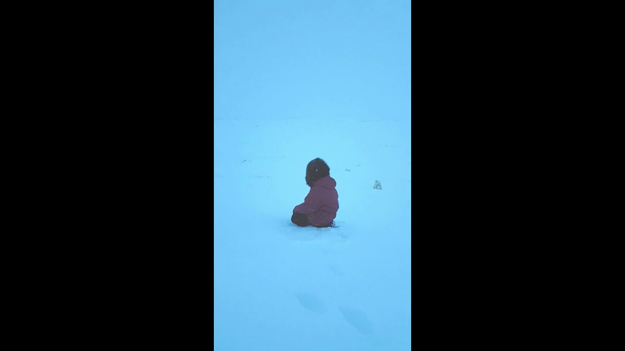 С друзьями - YouTube