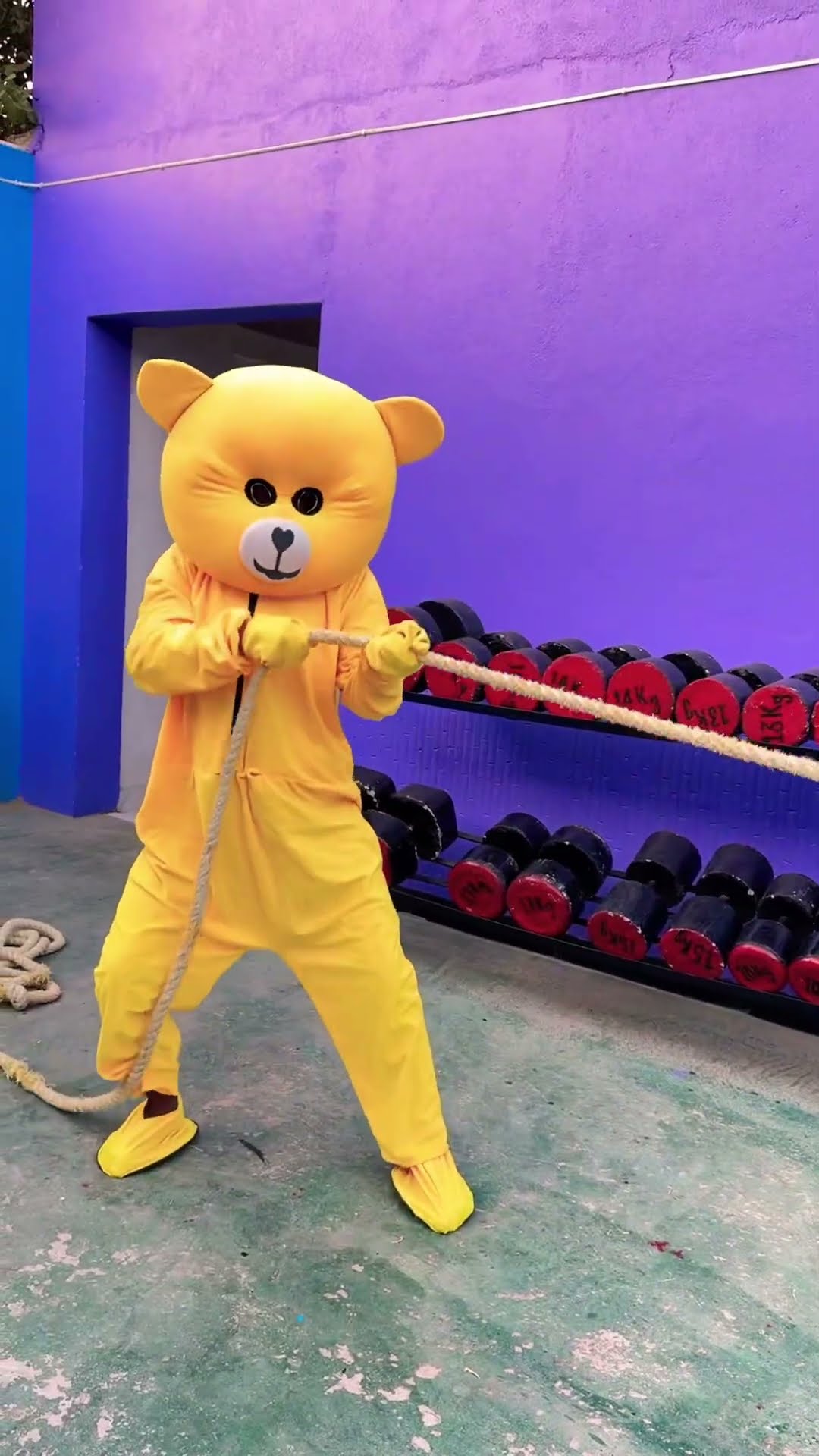 Teddy's Wisdom! ??? #shortvideo #funny #youtubeshorts