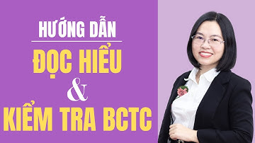 Hướng Dẫn Đọc Hiểu Và Kiểm Tra Báo Cáo Tài Chính