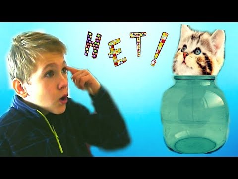 ЗА УСЫ достать КОШКУ из банки?! Совсем КУ КУ что ли?!!!