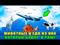 Знаете Ли Вы, Этих 6 Животных Которые Будут В Раю?