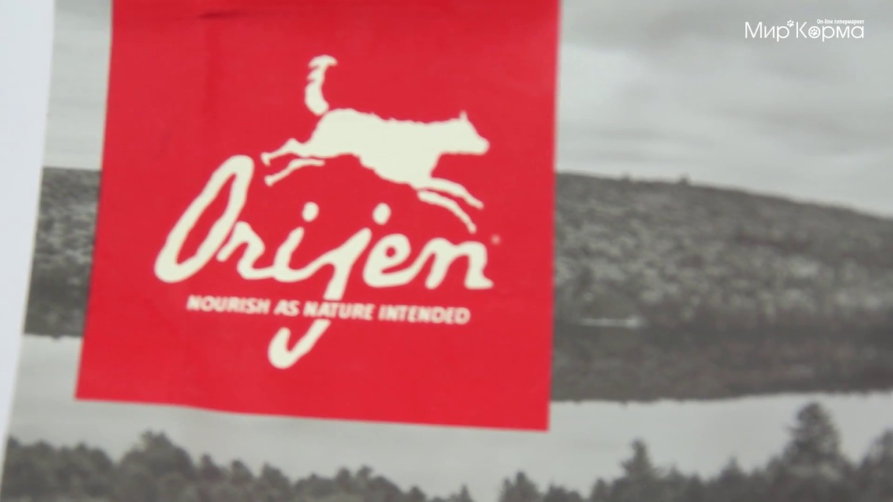 Обзор корма Orijen Original для взрослых собак