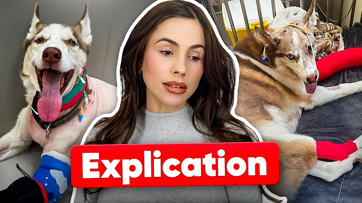 STORY TIME: WHAT HAPPENED WITH TIMOUR?
