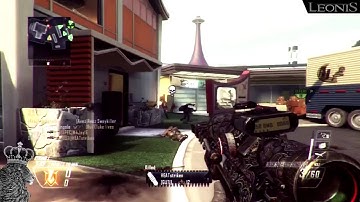 cD: Druide - "Leonis" Montage