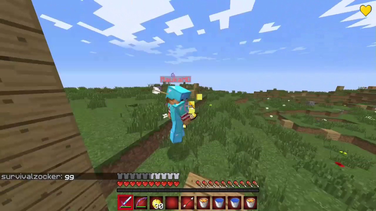 Timolia PvP #1/MLGBrothers