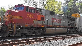 BNSF & Santa Fe War Bonnet On CSX Freight Train