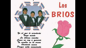 Te acordaras de mi - Los brios (letra) Te acordaras de mi - Los brios (letra)