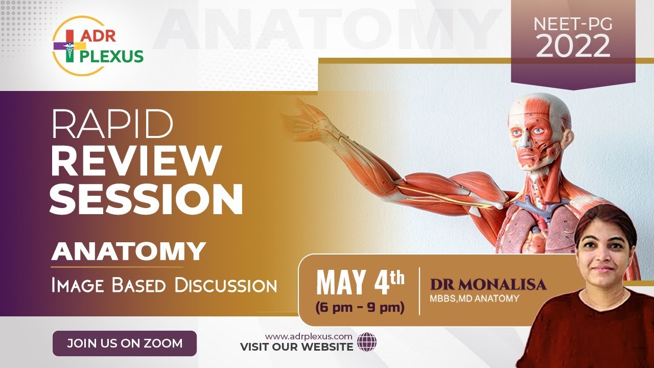 Rapid IBQ Revision Anatomy : Target NEET-PG 2022  - Dr Monalisa