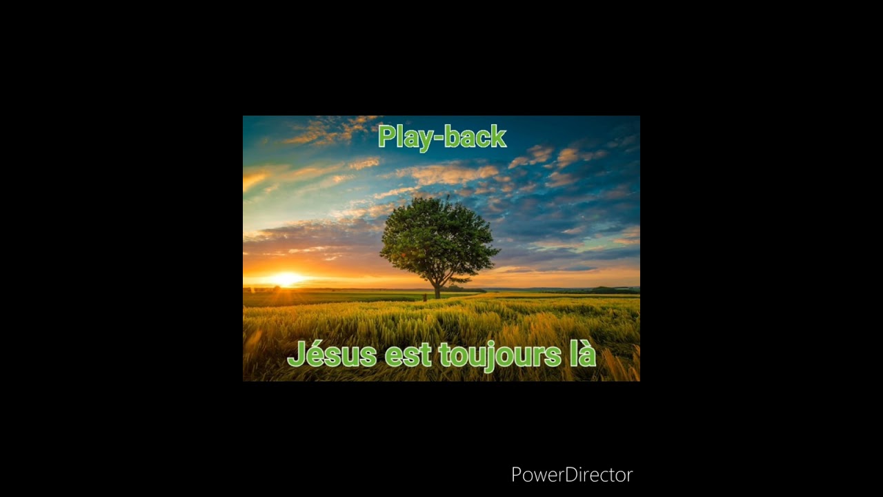 playback vie et lumière (Depuis quelques années)