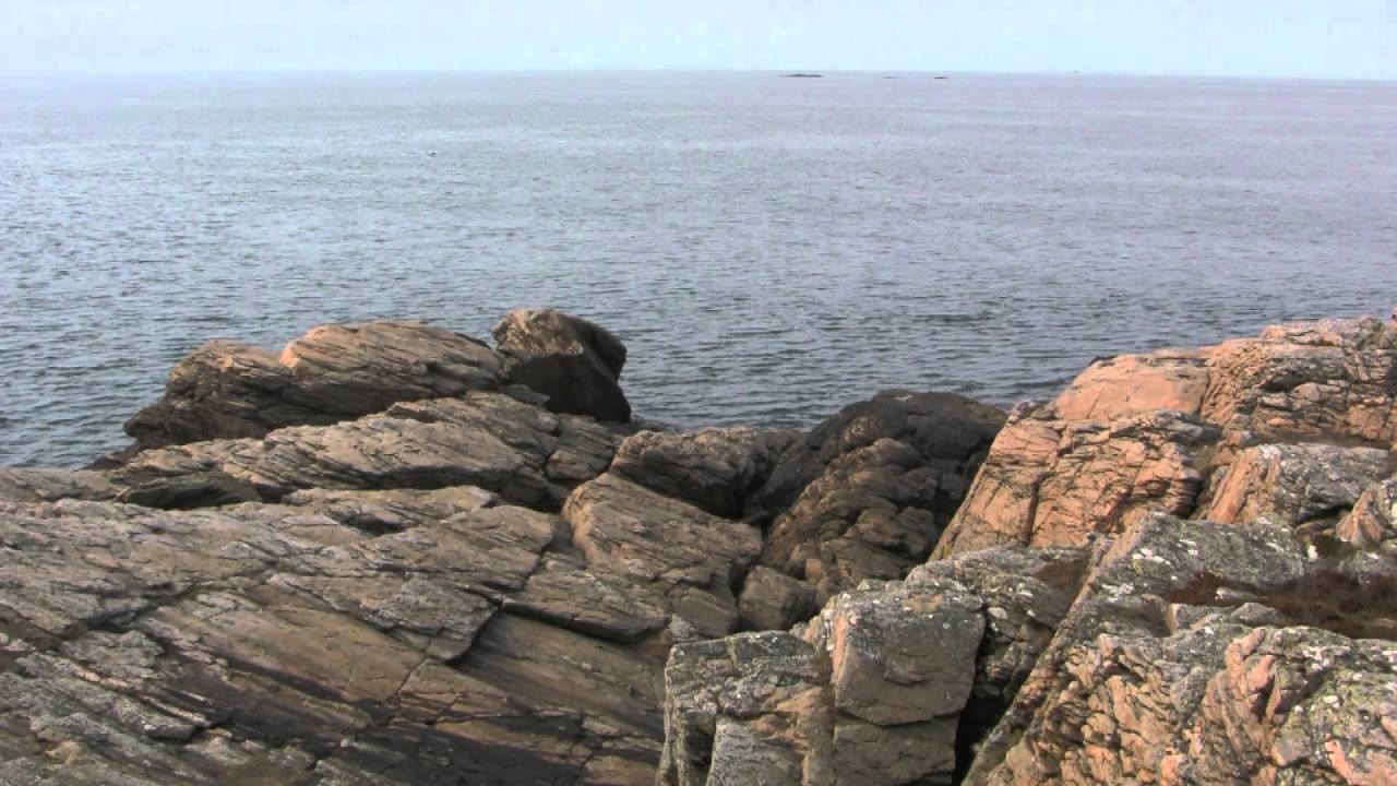 Biskopshagens naturreservat  Ringhals  Varbergs kommun.