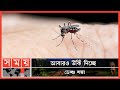 Found on YouTube: সিডিসিরও নিয়ন্ত্রণের বাইরে কন্ট্রোল রুম! | Dengue Patient Data | CDC | Somoy TV