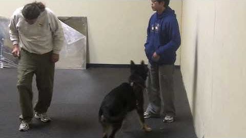 Michael Ellis: Leash Pressure Part 1