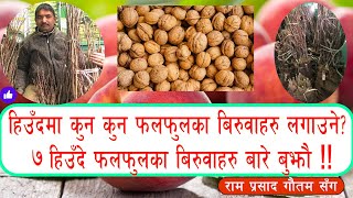 हिउदकाे बेलामा राेप्न सकिने ७ फलफुलका बिरुवा बारे जानकारी | 7 Fruit plants for winter in Nepal