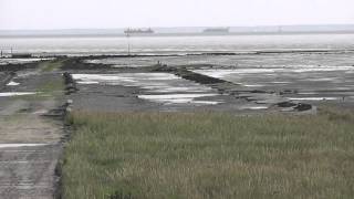 SWC Free Walk 166, 'The Broomway', 1/9/13.