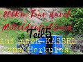 Mitteldeutschland Tour Teil 5 - Der Wartburg-Herkules Radweg-