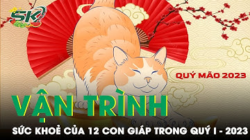 Vận Trình Sức Khỏe 12 Con Giáp Trong Quý 1 Năm Quý Mão 2023 | SKĐS
