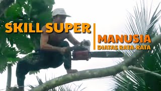 SKILL DEWA PENEBANG POHON || Menakjubkan || TANPA PENGAMAN