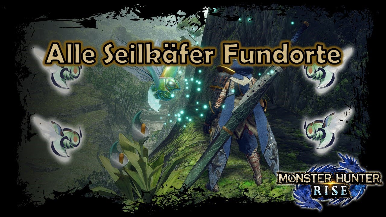 Fundorte aller großen Seilkäfer | Monster Hunter Rise [deutsch]
