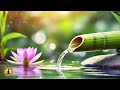 🔴 Relaxing Zen Music 24/7, Stress Relief Music, Sleep Music, Meditation Music, Study, Nature Sounds