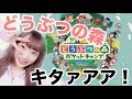 待ちに待った！スマホ版どうぶつの森！ポケットキャンプ♡早速やってみた！