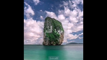 سورة : القلم القارئ : ياسر الزيلعي