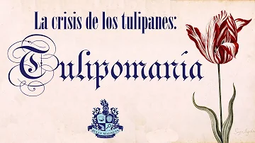 ¿Cuándo es tiempo de tulipanes?