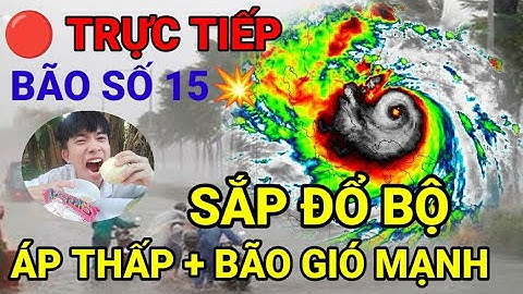🔴 Trực Tiếp: Bão Số 15 Sắp Đổ Bộ, Tin Gió Mạnh Khẩn Cấp