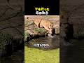 子を救った母の執念