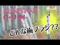 【200円歯ブラシ】SUNSTAR G・U・M 　歯科医師が歯ブラシを評価 ！