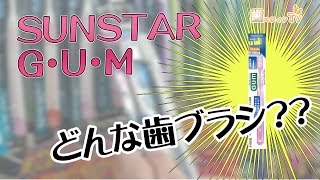 【200円歯ブラシ】SUNSTAR G・U・M 　歯科医師が歯ブラシを評価 ！