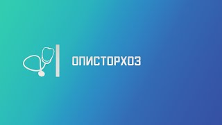 Описторхоз. Лекция для студента и практикующего врача.