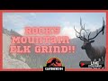 Live! 118 Kills in!! Rocky Mountain Elk Grind!! : : TheHunter: Call of the Wild