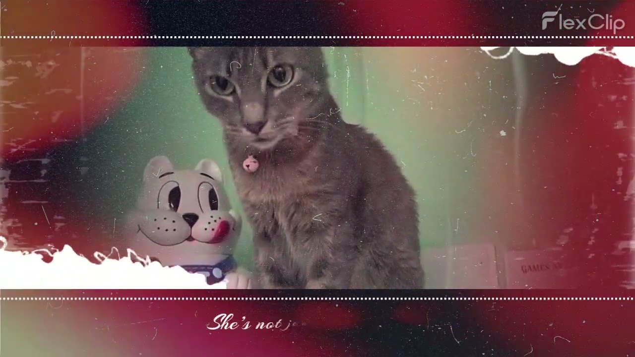 Three words to describe Abigail, you ask? Sweet. Petite. Curious. But also: fierce. loyal. healing.